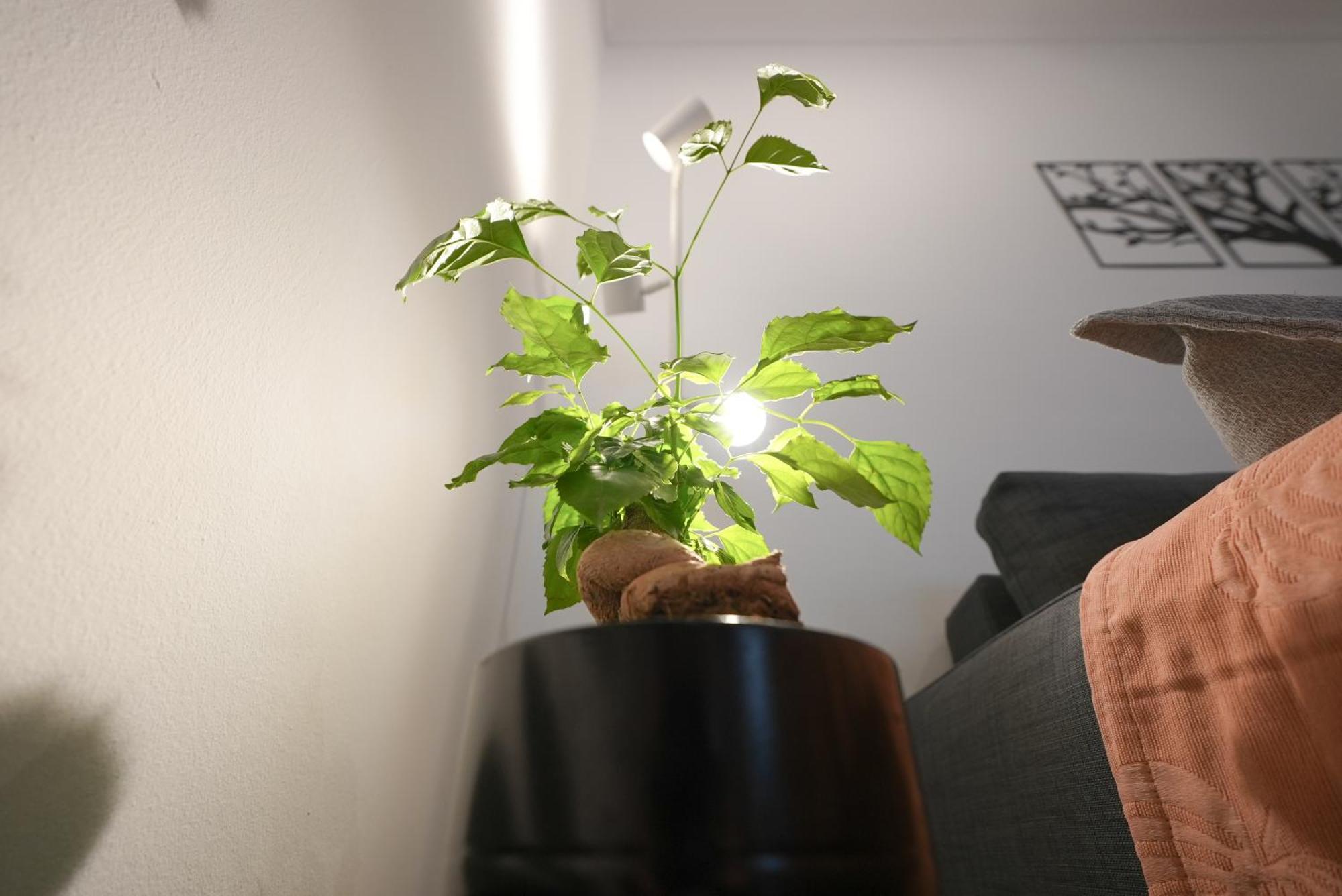 Syntagma Square, 50Sqm Nikis Luxurious Apartment Ateny Zewnętrze zdjęcie